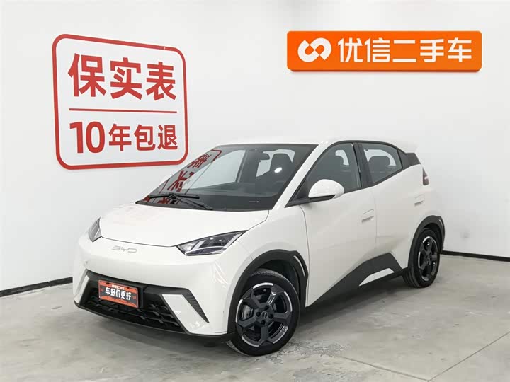 Фото 1 - BYD Seagull