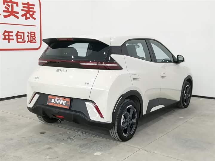 Фото 2 - BYD Seagull