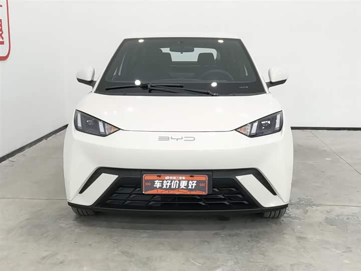 Фото 3 - BYD Seagull