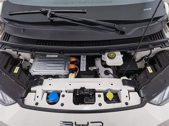 Фото 6 - BYD Seagull