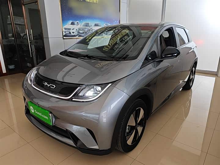 Фото 2 - BYD Dolphin