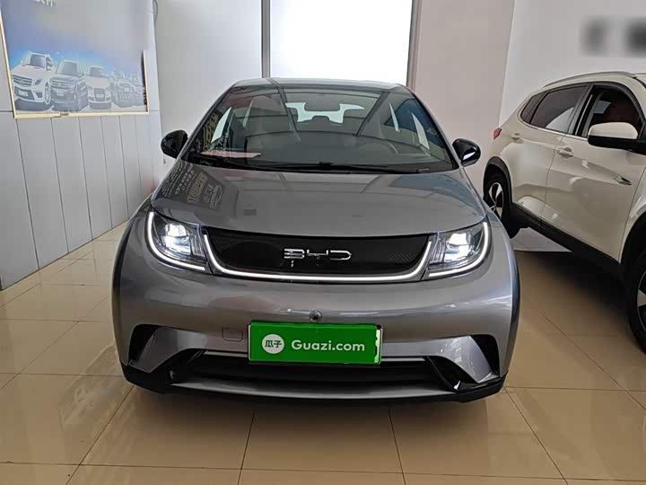 Фото 3 - BYD Dolphin