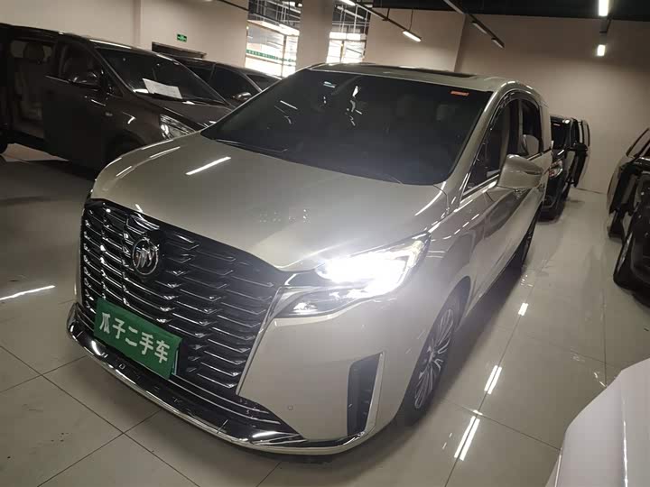 Фото 1 - Buick GL8 ES