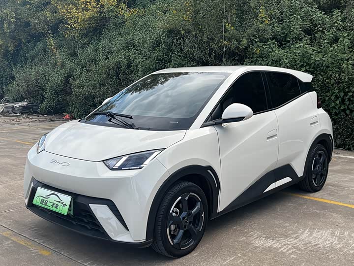 Фото 1 - BYD Seagull
