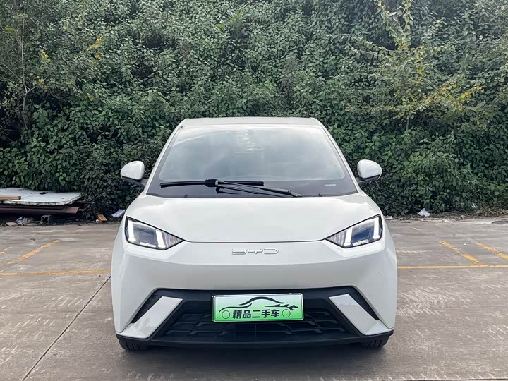 Фото 2 - BYD Seagull