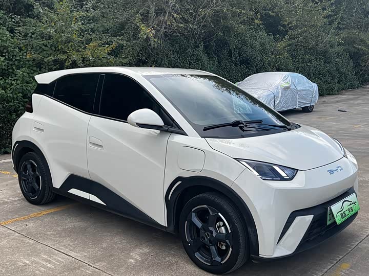 Фото 3 - BYD Seagull