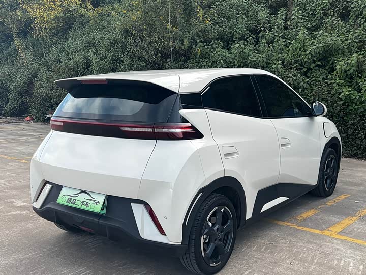 Фото 7 - BYD Seagull