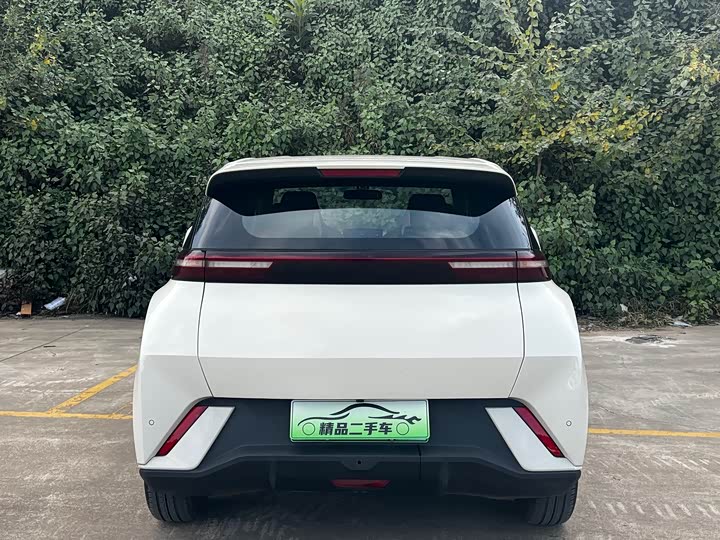 Фото 8 - BYD Seagull