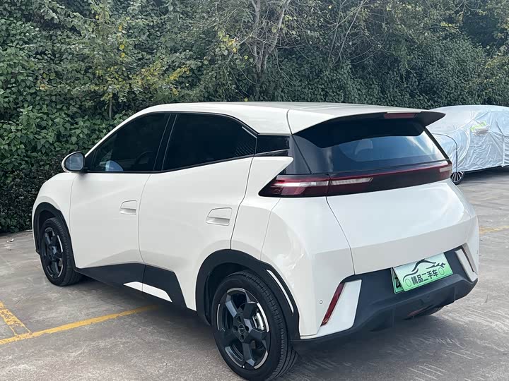 Фото 9 - BYD Seagull