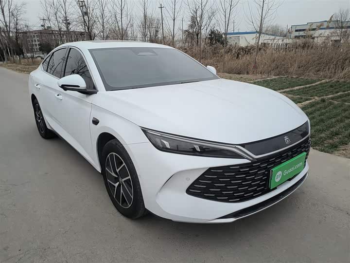 Фото 4 - BYD Qin L