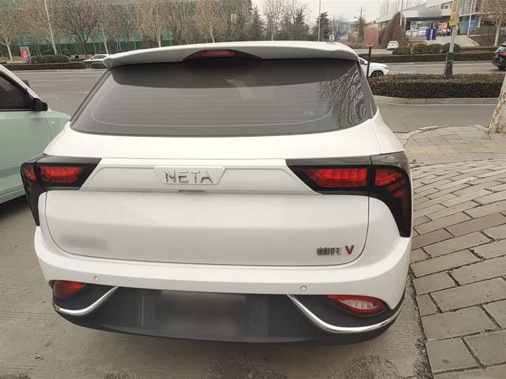 Фото 6 - Hozon V