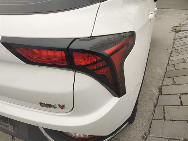 Фото 8 - Hozon V