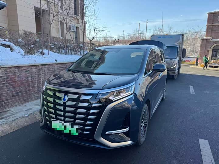 Фото 1 - Denza D9