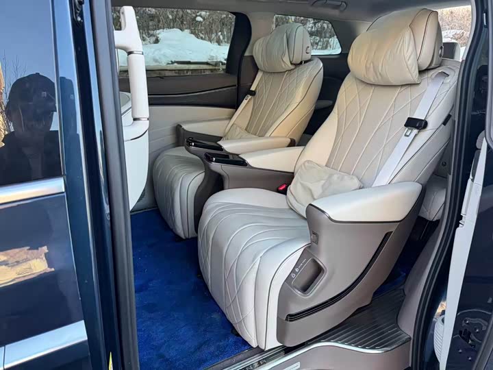 Фото 2 - Denza D9