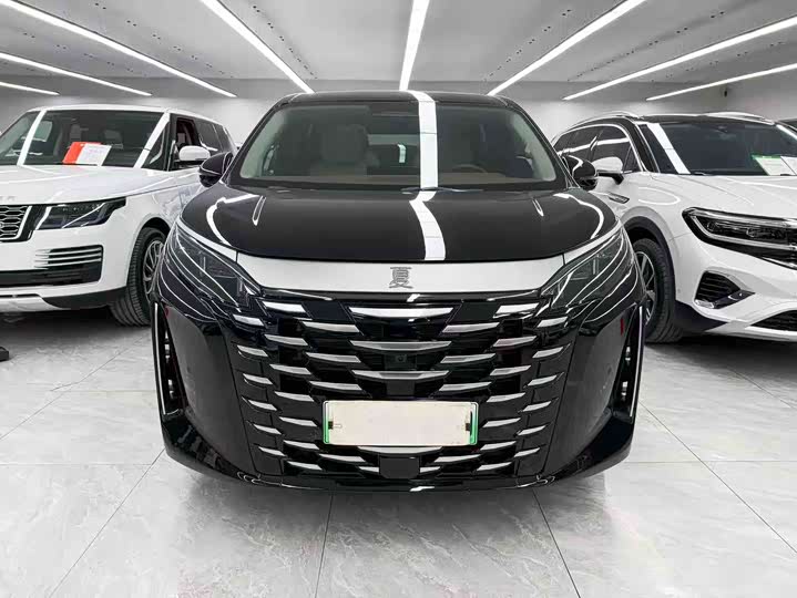 Фото 2 - BYD Xia