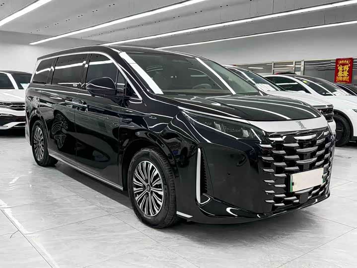 Фото 3 - BYD Xia