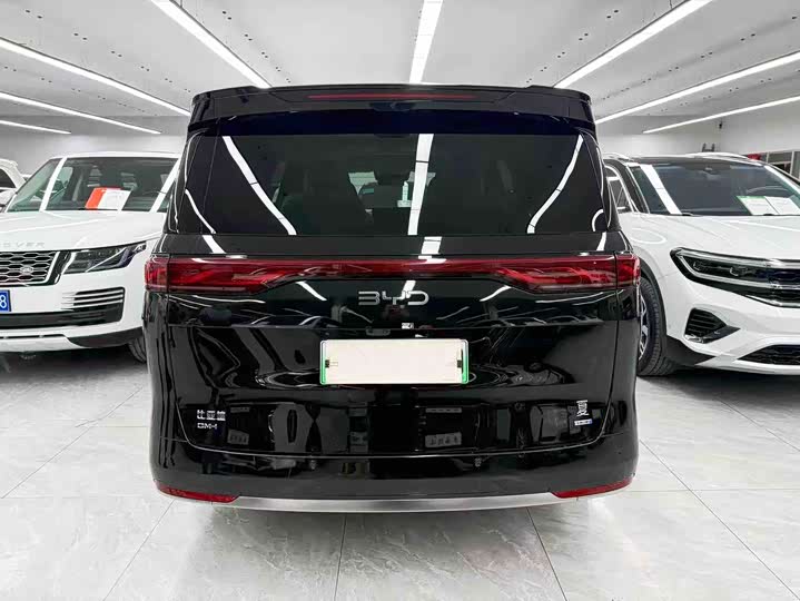 Фото 5 - BYD Xia