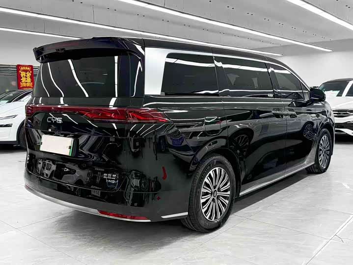 Фото 6 - BYD Xia