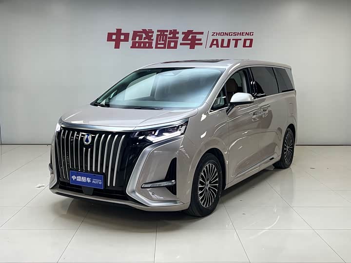 Фото 1 - Denza D9