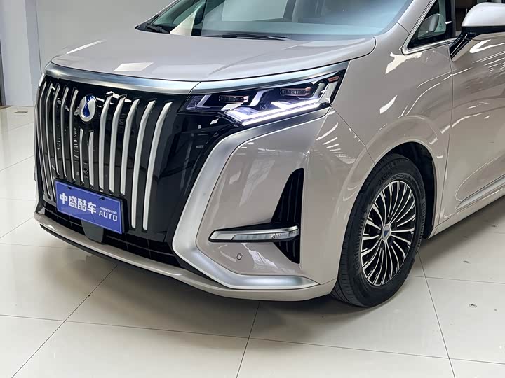 Фото 3 - Denza D9