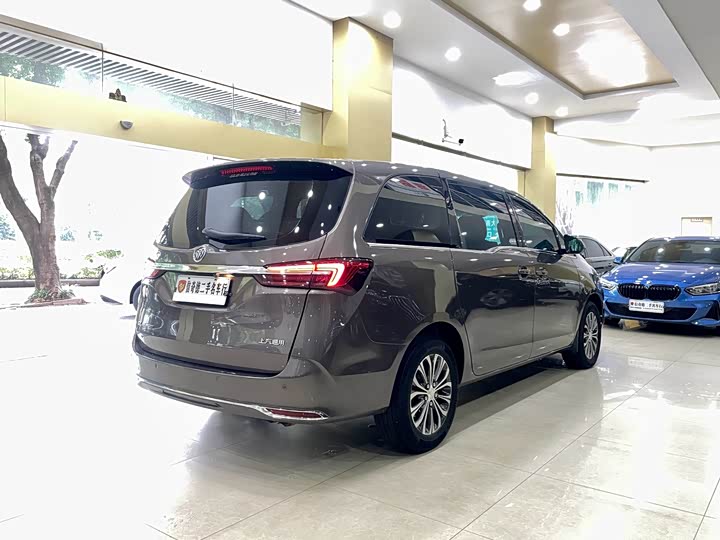 Фото 3 - Buick GL8 ES