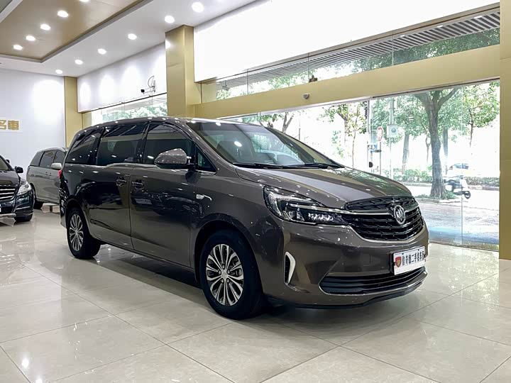 Фото 6 - Buick GL8 ES