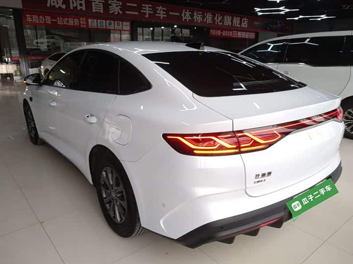 Фото 5 - BYD Qin L