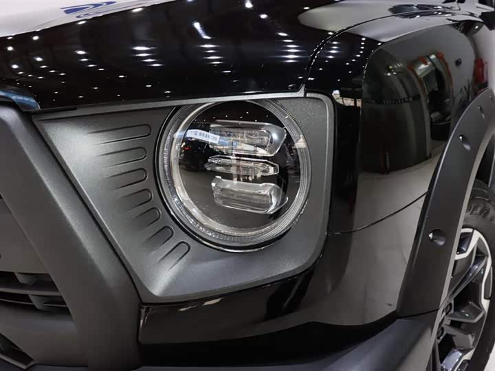 Фото 7 - Haval Dargo