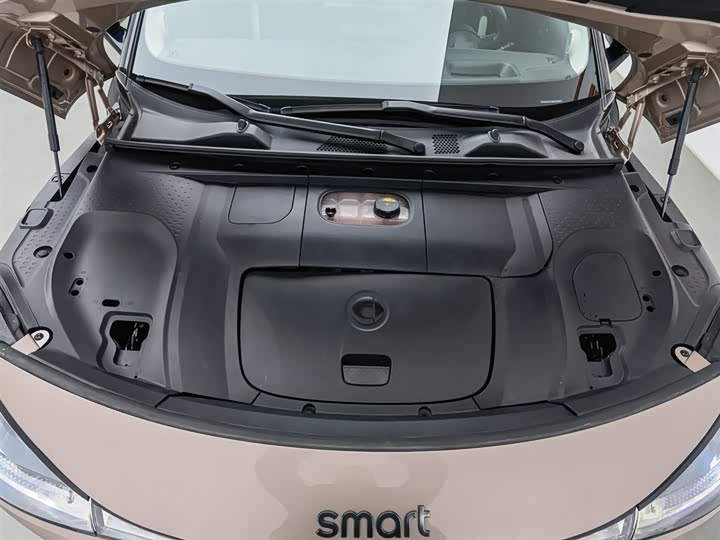 Фото 6 - Smart #1