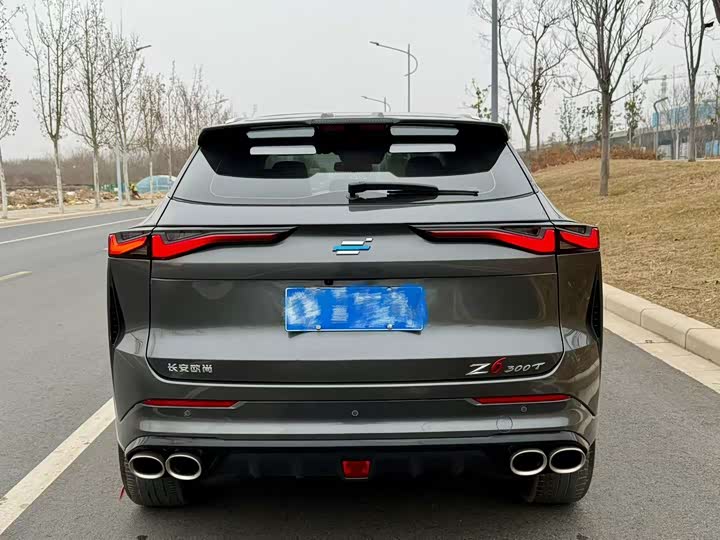 Фото 9 - Changan Oshan Z6