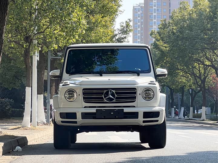 Фото 2 - Mercedes-Benz G-Class