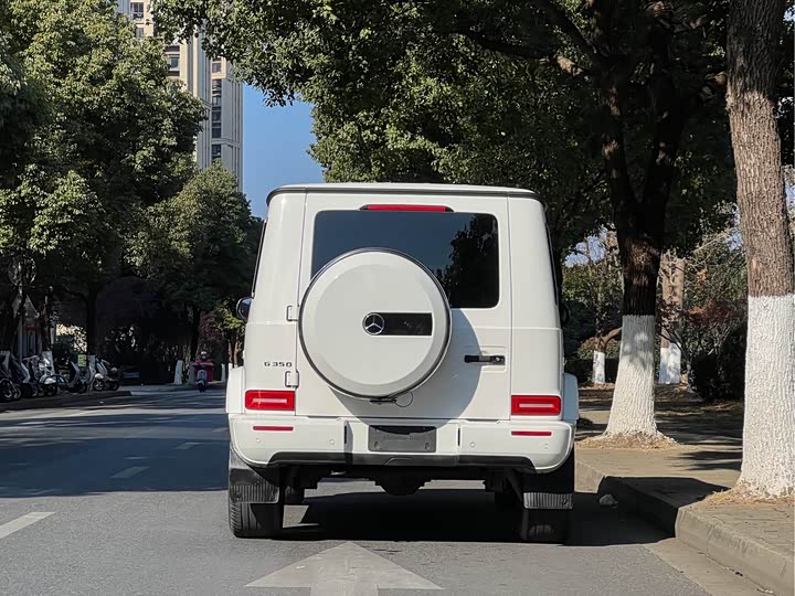 Фото 3 - Mercedes-Benz G-Class