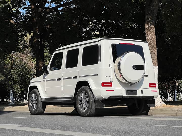 Фото 5 - Mercedes-Benz G-Class