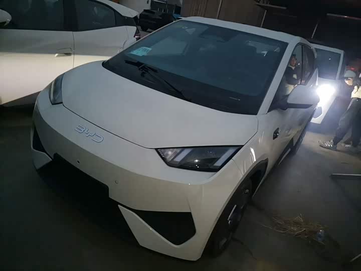 Фото 1 - BYD Seagull