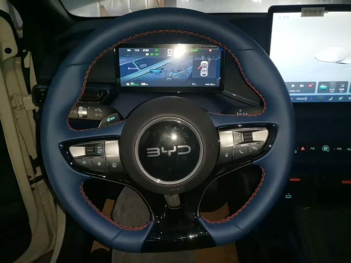 Фото 3 - BYD Seagull