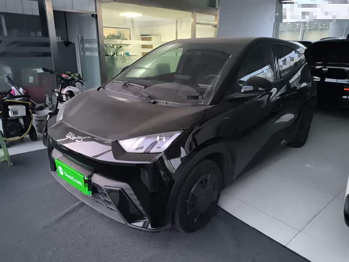 Фото 1 - BYD Seagull