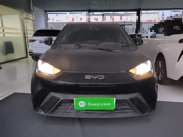 Фото 3 - BYD Seagull