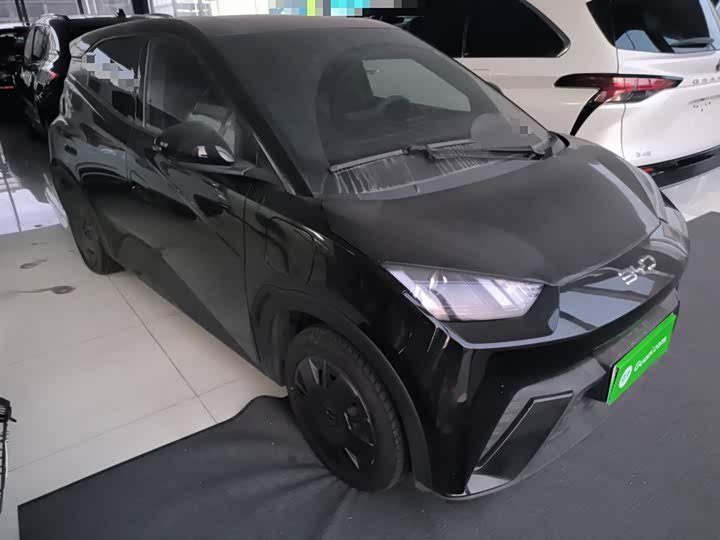 Фото 4 - BYD Seagull