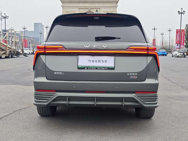 Фото 9 - Wey Lanshan