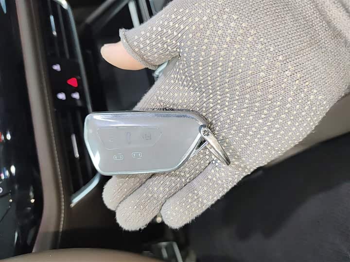 Фото 9 - Volkswagen Viloran