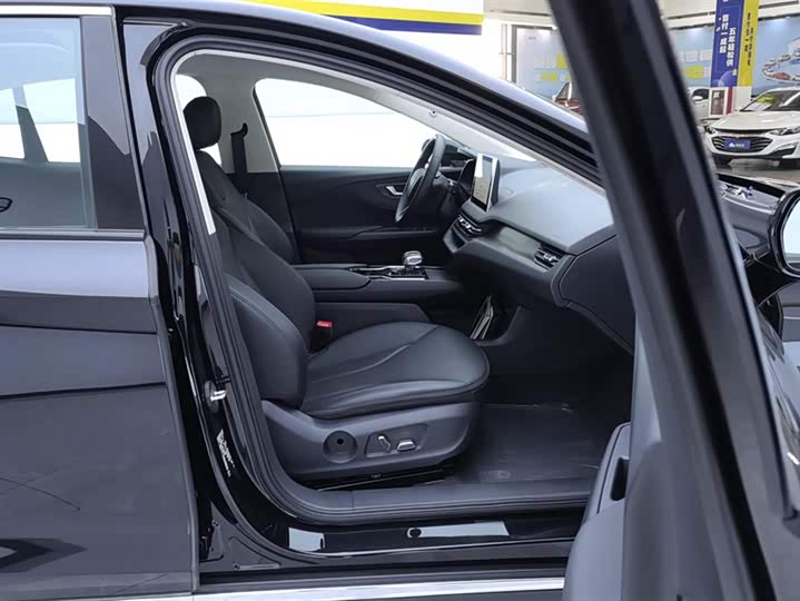 Фото 8 - Hongqi E-QM5