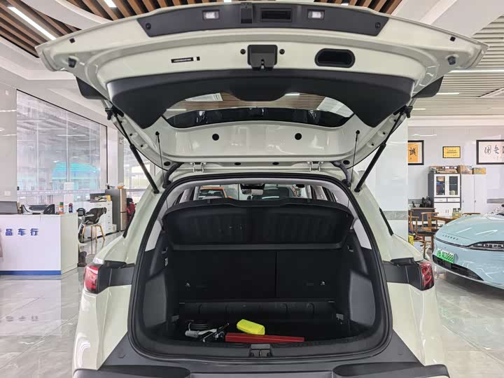 Фото 7 - BYD Yuan Up