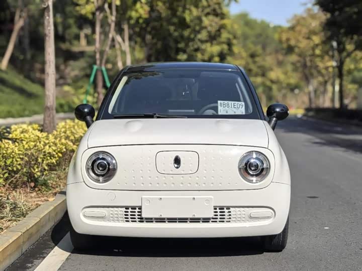 Фото 2 - Ora Black Cat