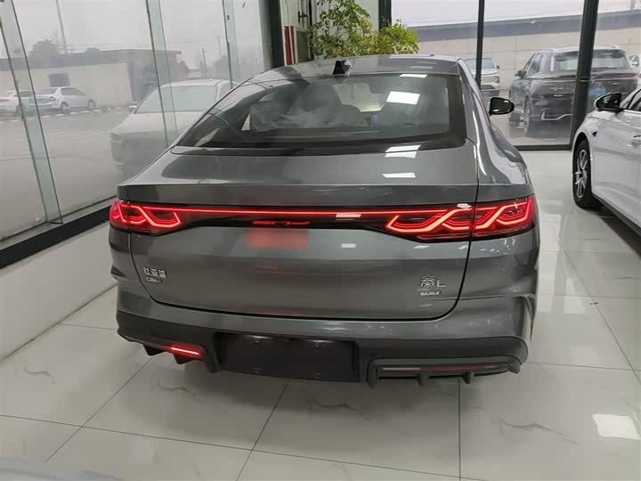 Фото 6 - BYD Qin L