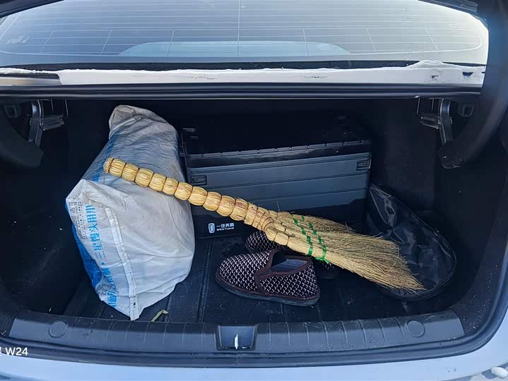 Фото 4 - BYD Qin Plus