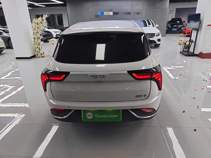 Фото 6 - Hozon V