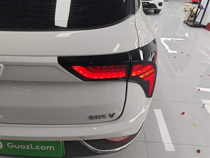 Фото 8 - Hozon V