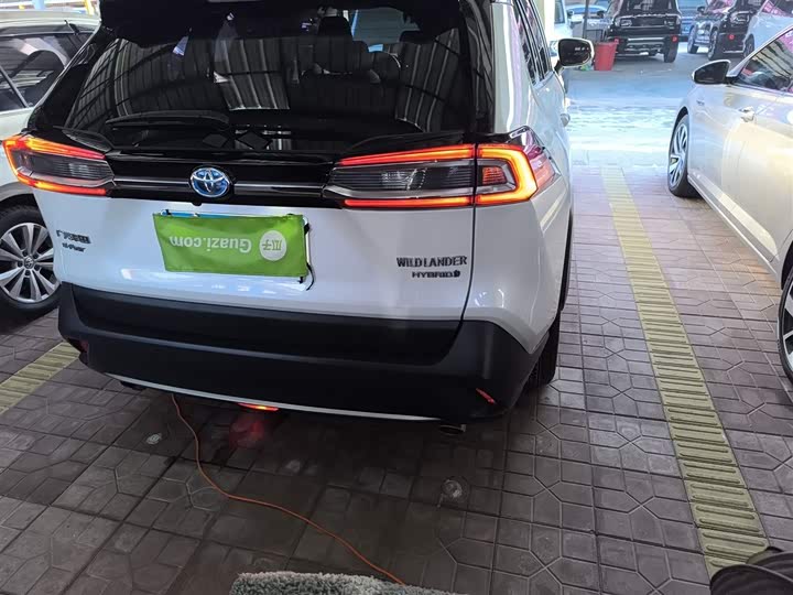 Фото 8 - Toyota Wildlander