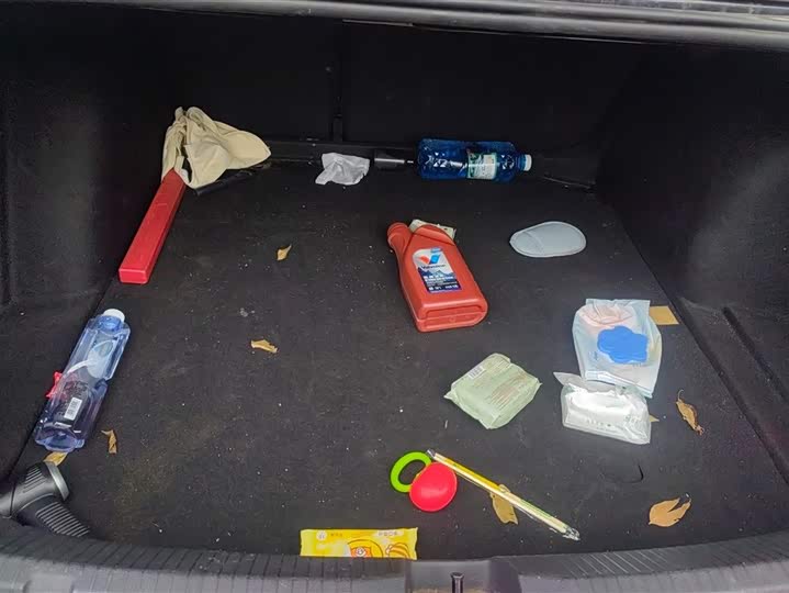 Фото 4 - Volkswagen Lavida