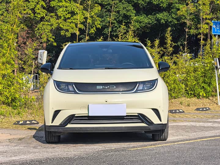 Фото 2 - BYD Dolphin